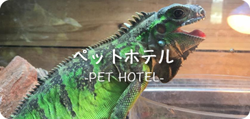 あああああああああああああ