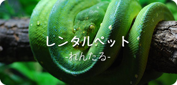 あああああああああああああ