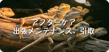 あああああああああああああ