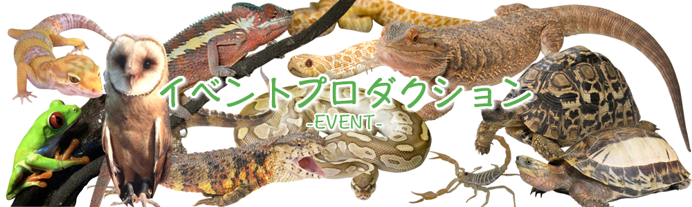 イベントプロダクション