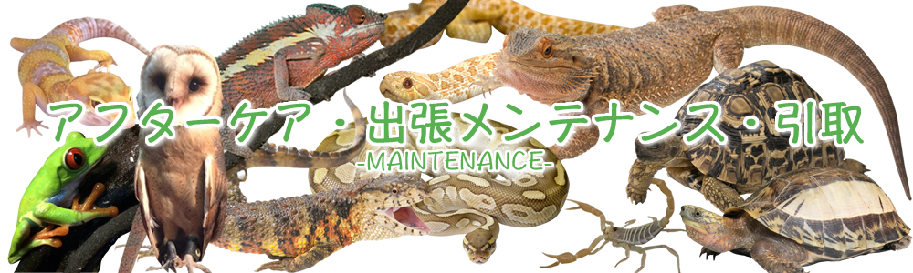 アフターケア・出張メンテナンス・引取